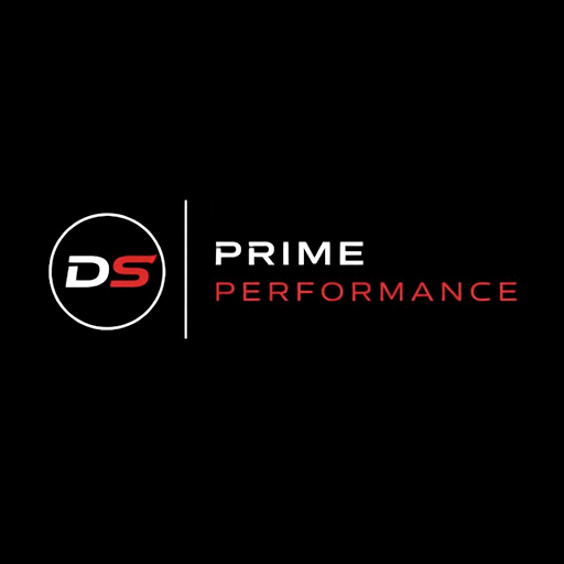 DS Prime Performance